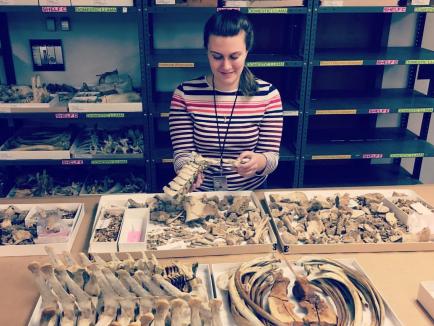 Hope working in zooarch. lab