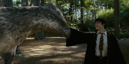 Fantastic Beasts and Where to Find Them