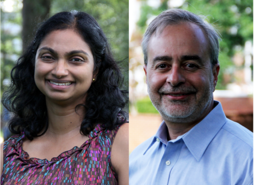Sangaramoorthy & Shackel