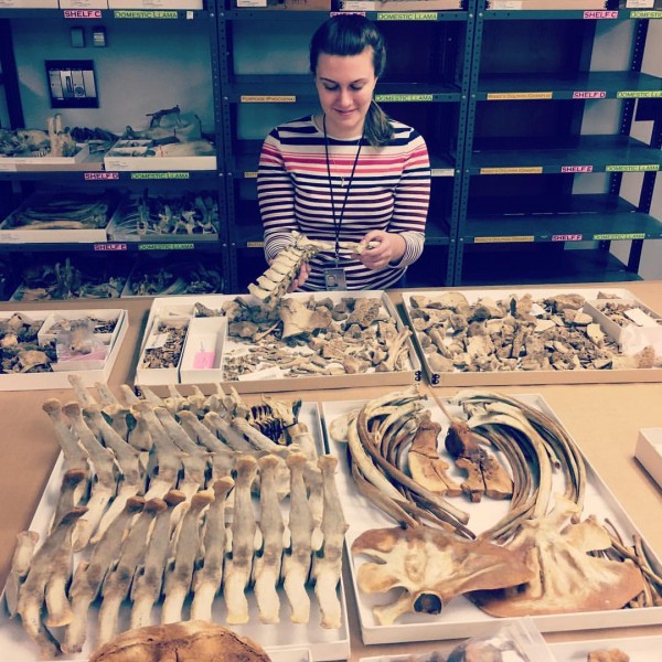 Hope working in zooarch. lab