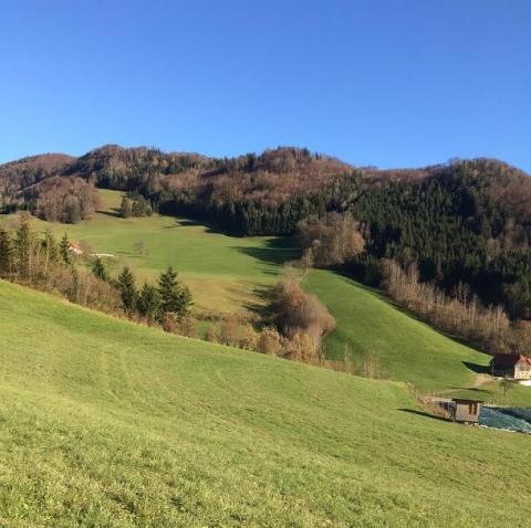 Field school in Austria